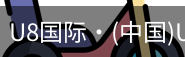 U8国际